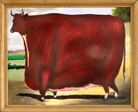 A large cow
